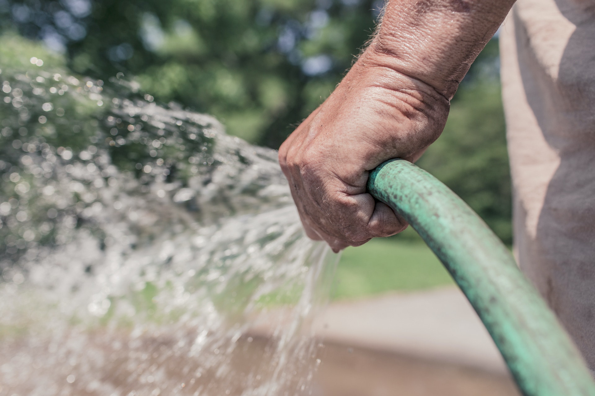 Person Holding Green Hose